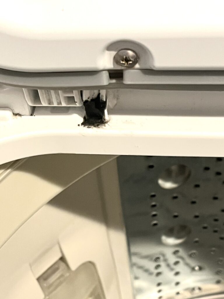 BW-DX100F プラリペア修繕