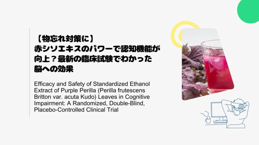 【物忘れ対策に】赤シソエキスのパワーで認知機能が向上？最新の臨床試験でわかった脳への効果