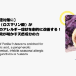 【花粉症対策に】赤シソ（ロスマリン酸）が目と鼻のアレルギー症状を劇的に改善する！最新研究が明かす天然成分の力1